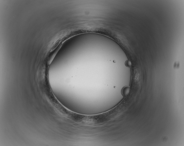 X0000112510685200908241420