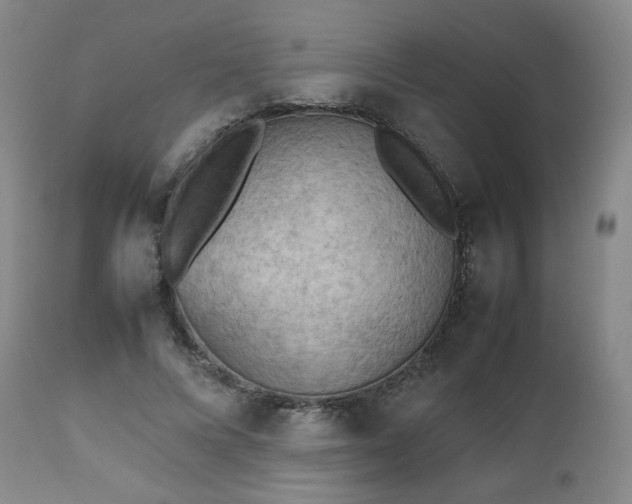 X0000112510688200908241420