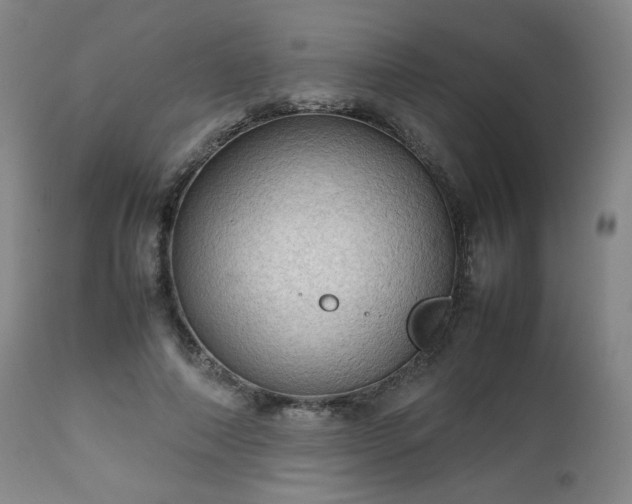 X0000112510690200908241420