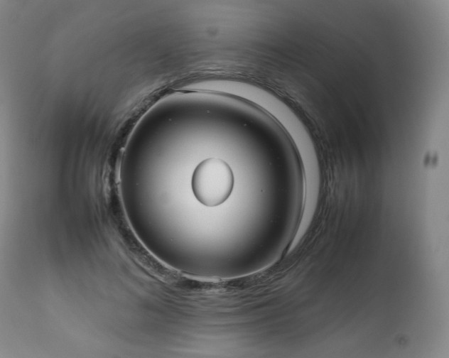 X0000112510692200908241420