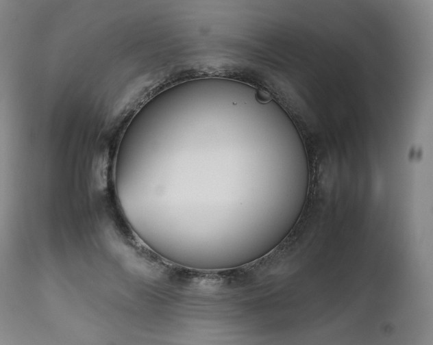 X0000112510694200908241420