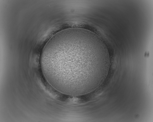 X0000112510695200908241420