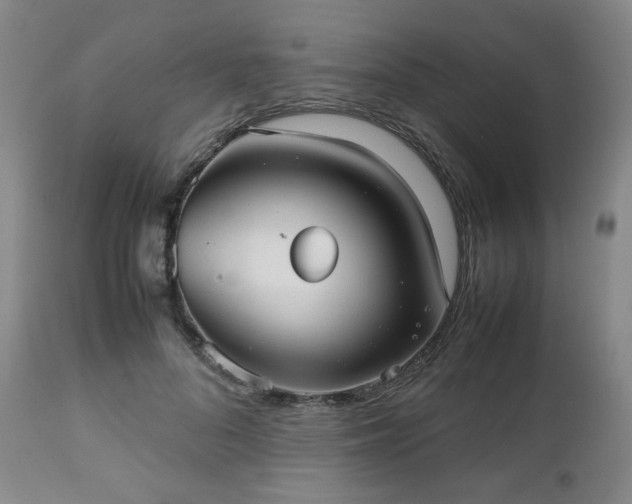 X0000112510696200908241420