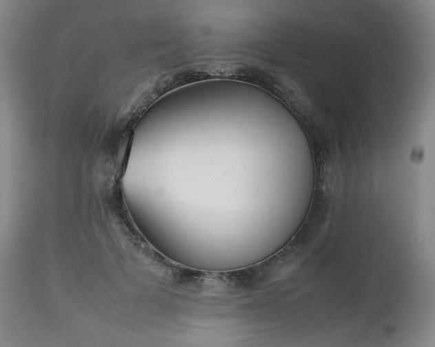 X0000112510697200908241420