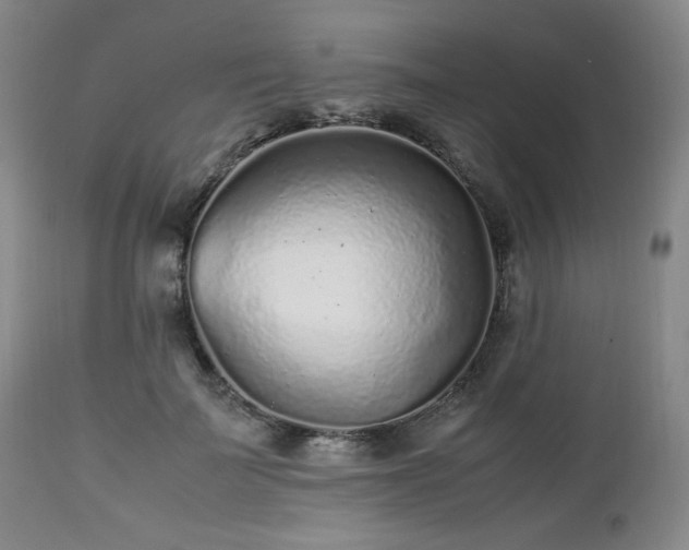 X0000112510699200908241420