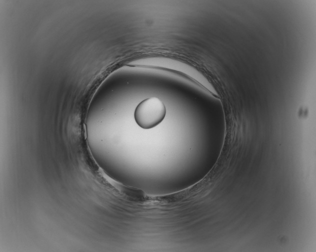 X0000112510700200908241420