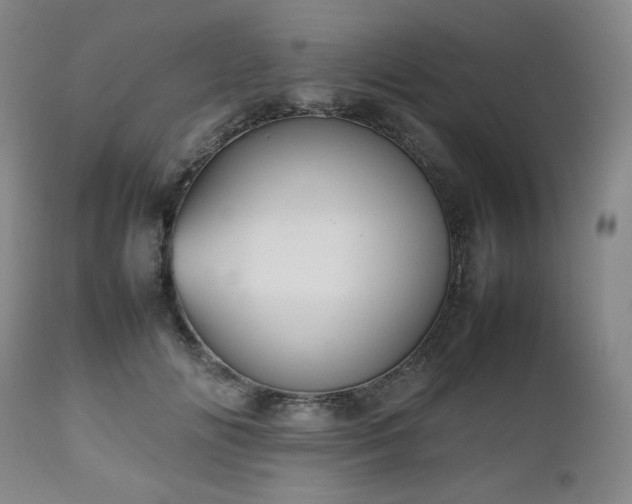 X0000112510702200908241420