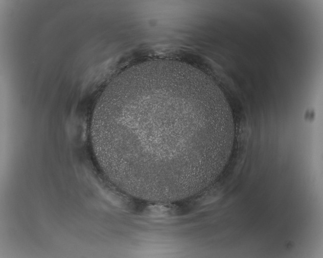 X0000112510703200908241420