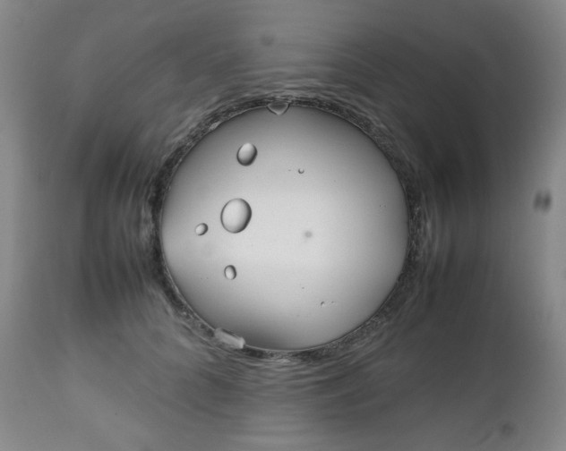 X0000112510704200908241420