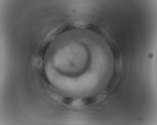 X0000112510705200908241420