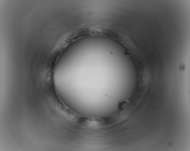 X0000112510706200908241420