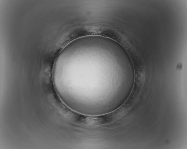 X0000112510707200908241420