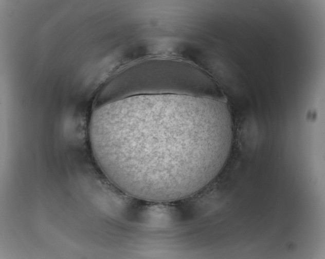 X0000112510708200908241420