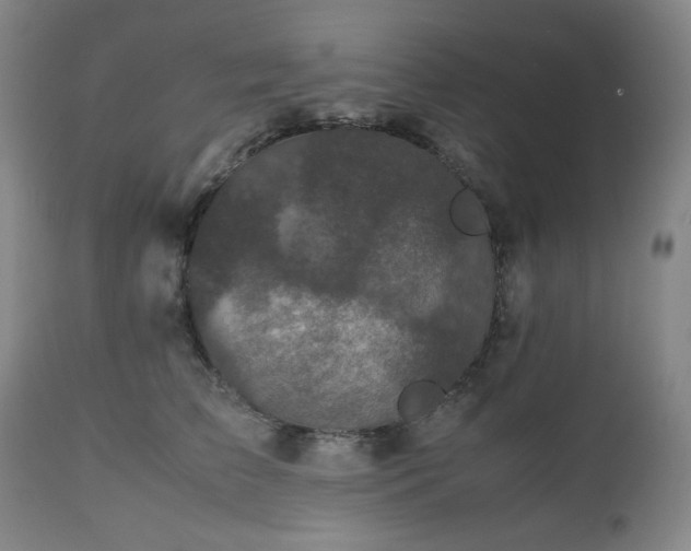 X0000112510709200908241420