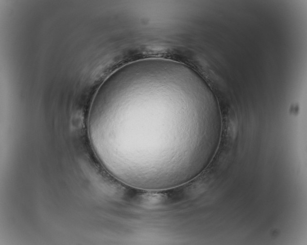 X0000112510711200908241420