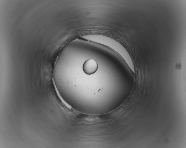 X0000112510712200908241420