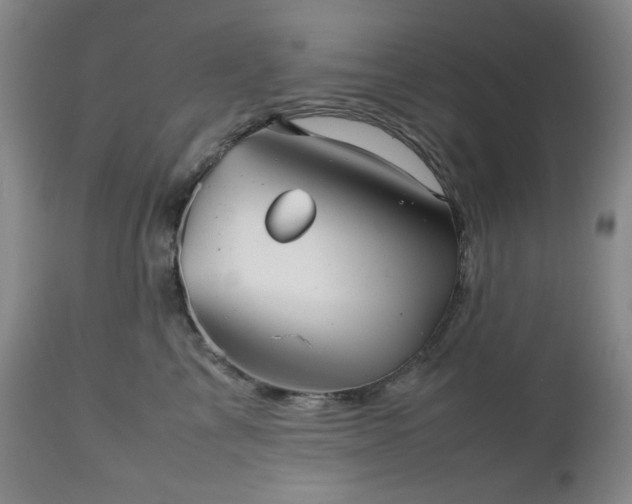 X0000112510713200908241420