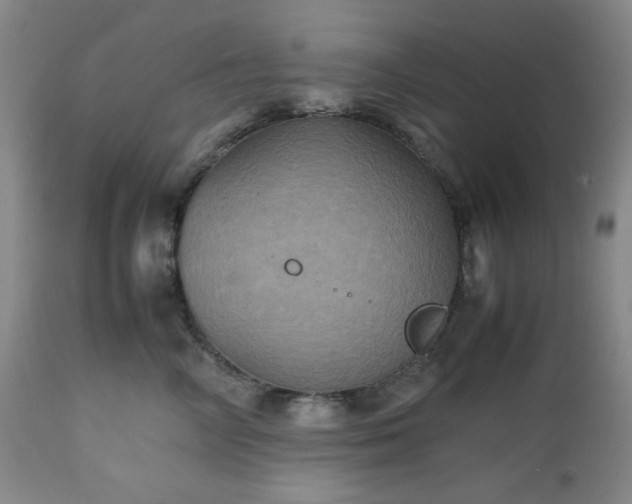 X0000112510714200908241420