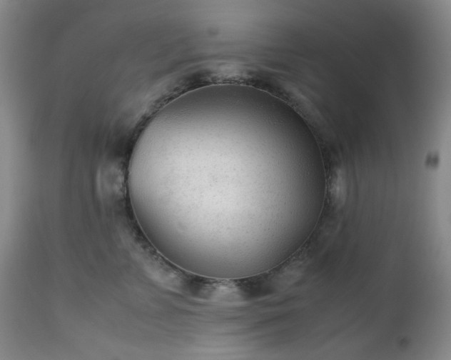 X0000112510715200908241420