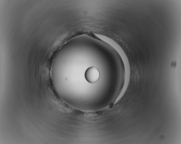 X0000112510716200908241420