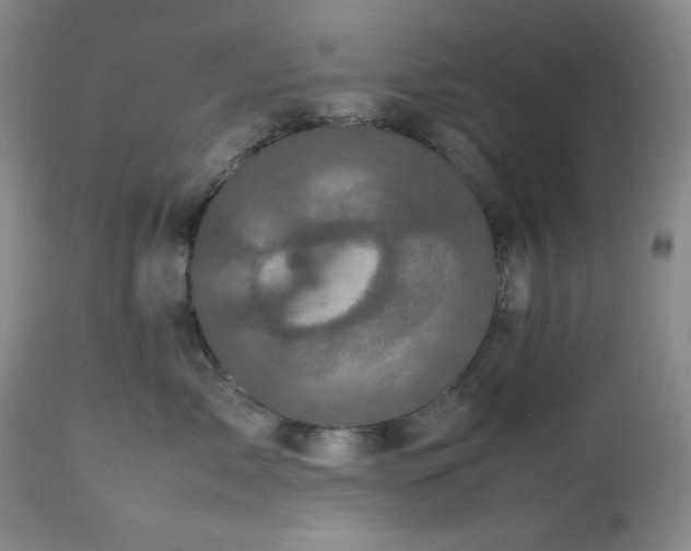 X0000112510717200908241420