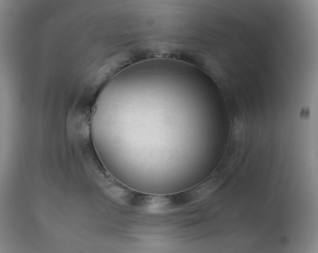 X0000112510719200908241420