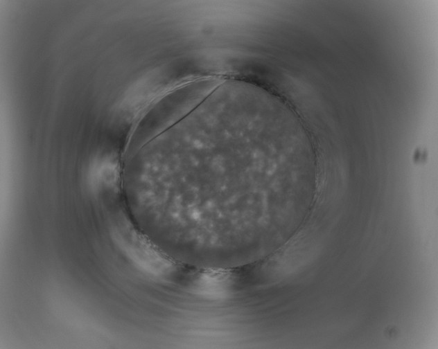 X0000112510720200908241420