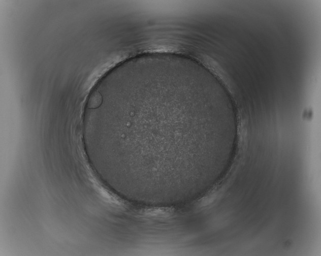 X0000112510721200908241419