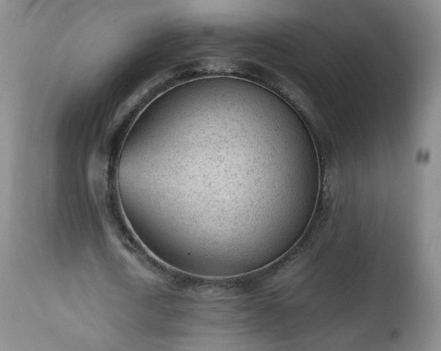 X0000112510722200908241419