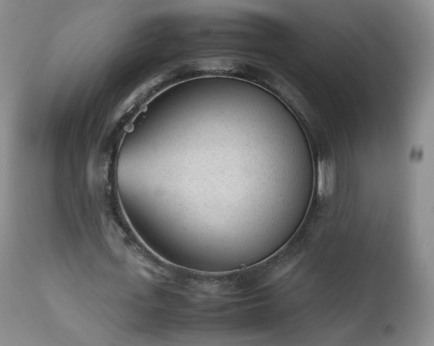 X0000112510723200908241419