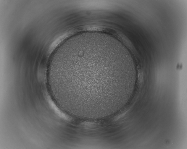 X0000112510725200908241419