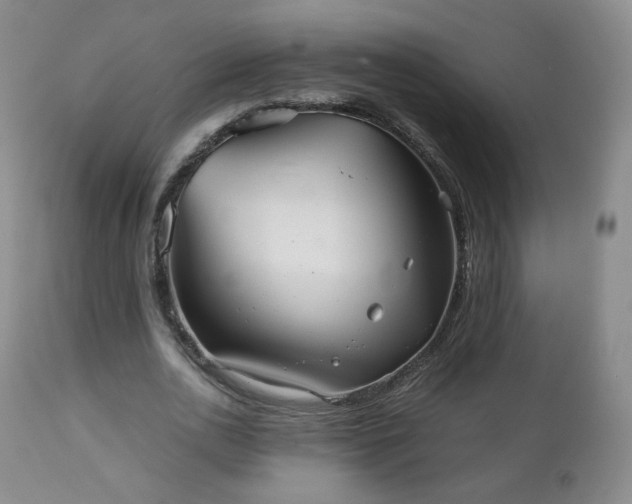 X0000112510726200908241419