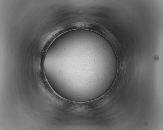 X0000112510727200908241419