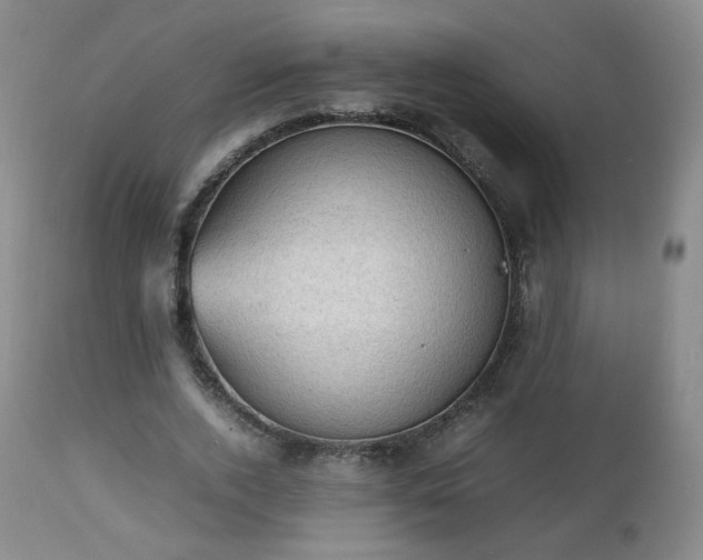 X0000112510728200908241419