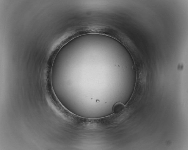 X0000112510730200908241419