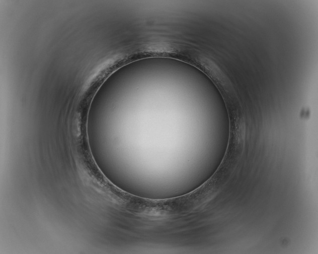 X0000112510731200908241419