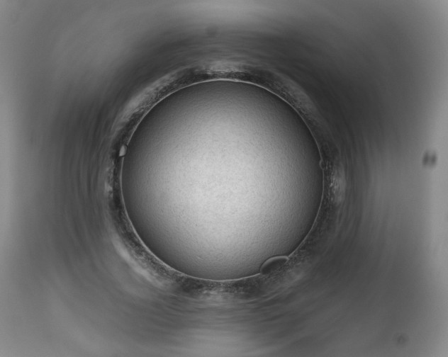 X0000112510732200908241419