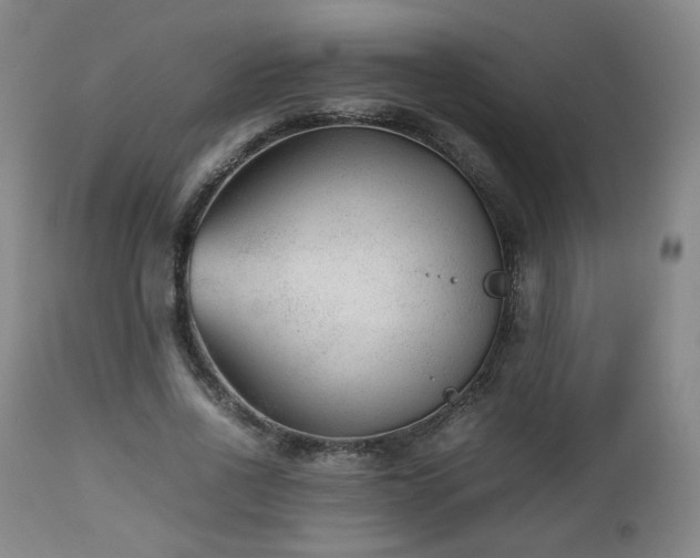 X0000112510734200908241419