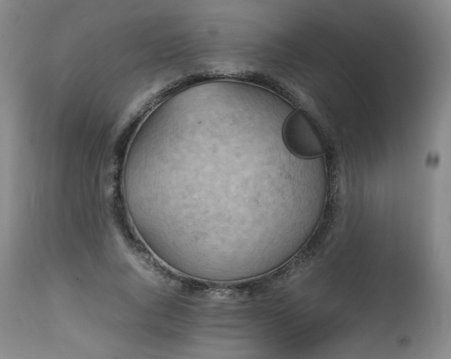 X0000112510736200908241419