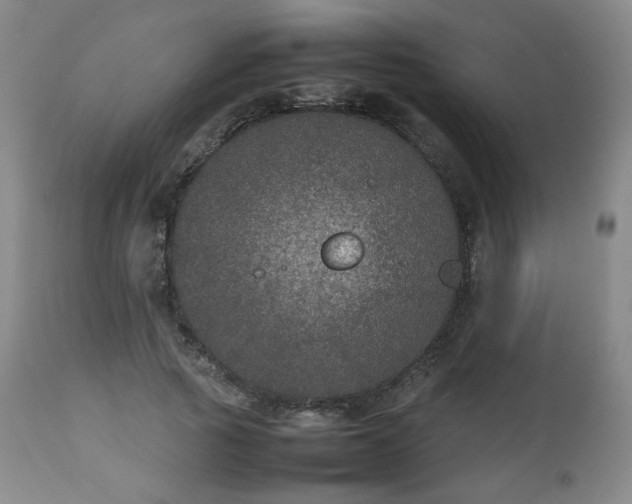 X0000112510737200908241419