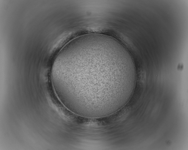 X0000112510738200908241419