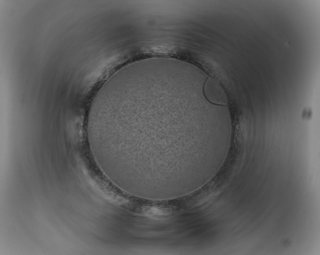 X0000112510739200908241419