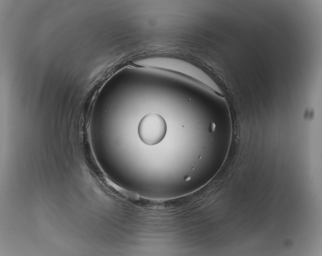 X0000112510740200908241419