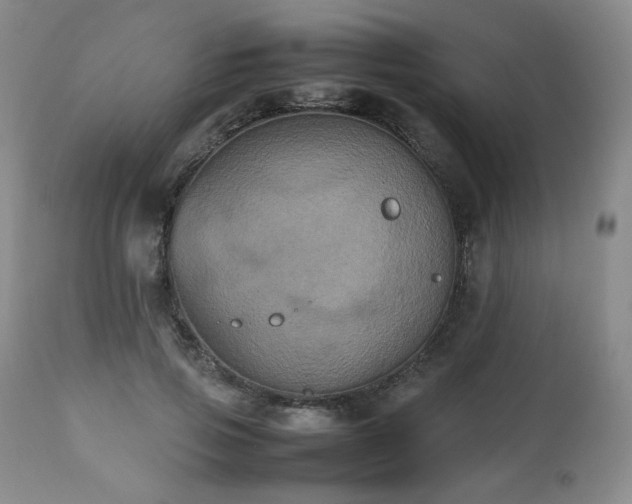 X0000112510741200908241419