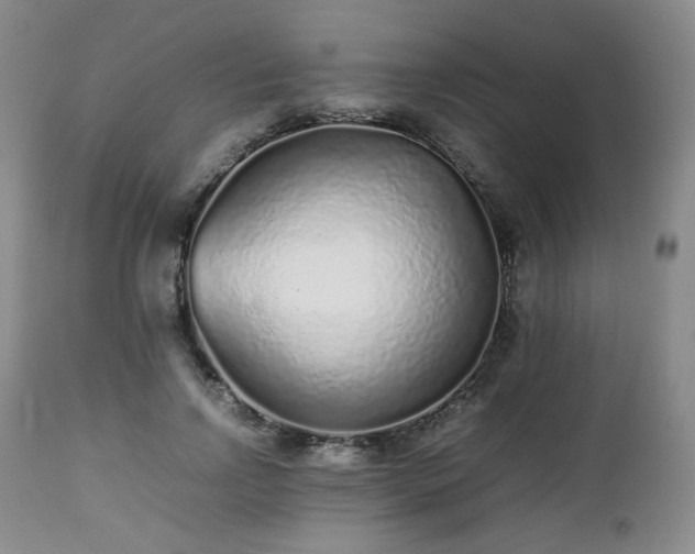 X0000112510742200908241419