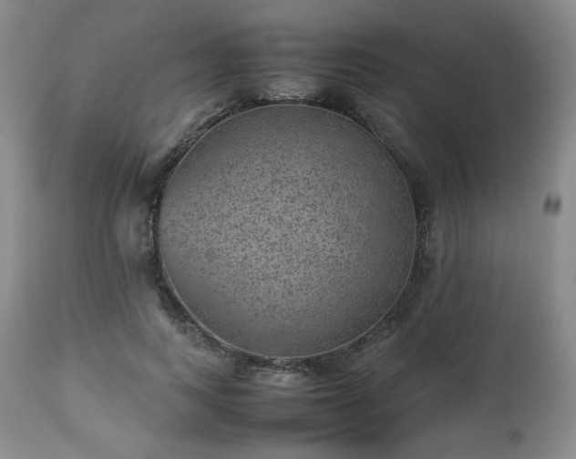 X0000112510743200908241419