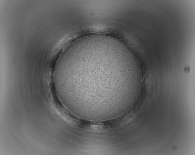 X0000112510744200908241419