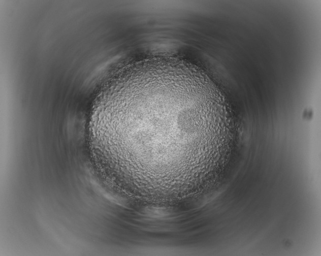 X0000112510745200908241419