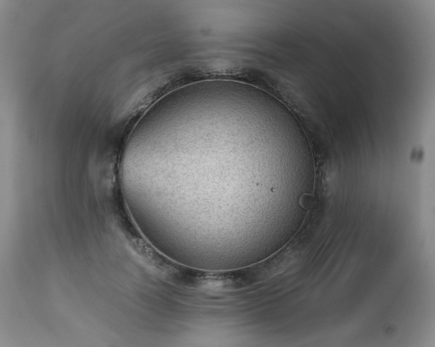 X0000112510746200908241419