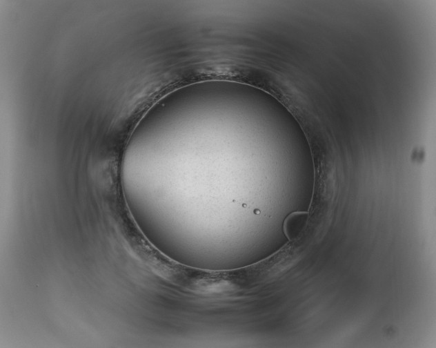 X0000112510747200908241419